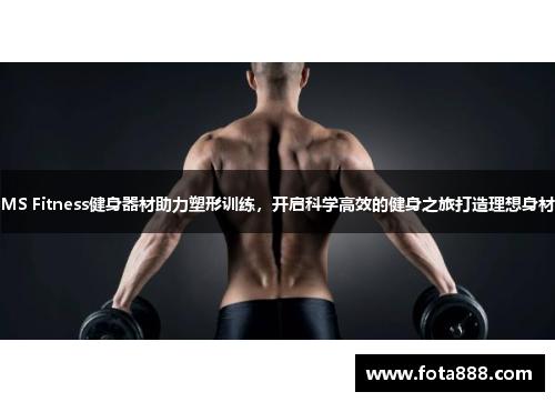 MS Fitness健身器材助力塑形训练，开启科学高效的健身之旅打造理想身材